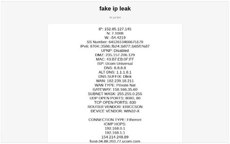 fake ip leak|My IP Address